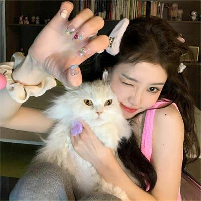 高速路上一只猫